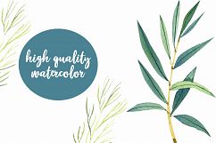 WATERCOLOR herbs, leaves, poppy, wild flowers Product Image 4