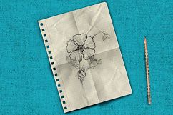 Notebook paper set Product Image 4