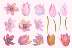 Floral Design Pack (watercolor &amp; pastel) Product Image 8