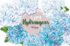 Blue Hydrangeas Product Image 1