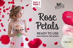 21 Rose Petal Photoshop Overlays Product Image 3