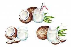 Coconut. Watercolor collection Product Image 6