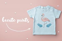 Flamingos Product Image 3