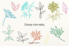 Elderflower Collection, png, svg, eps, label and stickers, watercolor elderflowers Product Image 8