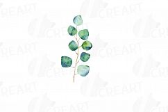 Eucalyptus leaves and branches watercolor clip art pack, Eucalyptus design elements. PNG, jpg, svg, vector illustrator &amp; corel files included Product Image 15