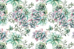 Watercolor SUCCULENTS &amp; CACTUSES Product Image 20