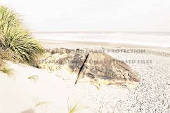 9 Dreamy Pink Beach Photos Product Image 4