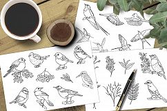 Sketch birds. Vector set. Product Image 1