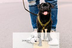 Logo Pack Vol.3. Pets Product Image 19