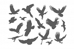 Silhouette of black birds pack on a white background Product Image 1