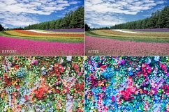 Vibrant Colors Lr Presets Product Image 4