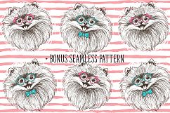 Pomeranian dogs print + bonus! Product Image 4