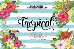 Watercolor Tropical Floral Clip Art Product Image 6