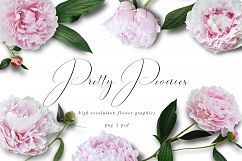 Pretty Peonies Graphics Product Image 1