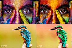 Vibrant Colors Lr Presets Product Image 3