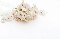 Styled photos bundle Product Image 10