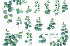 Eucalyptus leaves and branches watercolor clip art pack, Eucalyptus design elements. PNG, jpg, svg, vector illustrator &amp; corel files included Product Image 9