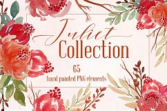 Juliet Floral Watercolor Clip Art Set Product Image 1