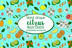 Hand Illustrated Citrus Fruits Pattern Product Image 1