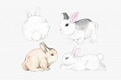 WHY SO CUTE: 10 Easter watercolor bunnies Product Image 6