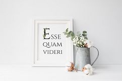 Grace &amp; Glory Botanical Alphabet Olive Watercolor Product Image 15