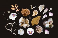 THE FLORISTRY floral collection - watercolor, line art, real Product Image 16