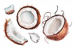 Watercolor coconut illustration Product Image 1