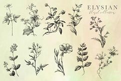 Elysian Floral Graphics Collection Product Image 14