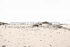 9 Dreamy Pink Beach Photos Product Image 7