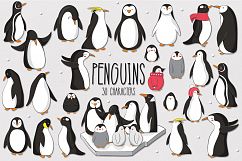 Penguins Product Image 1