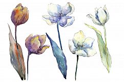 White tulips PNG watercolor flower set Product Image 1