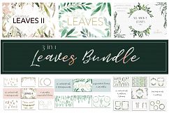 3 in 1 - All About Leaves Bundle Product Image 1