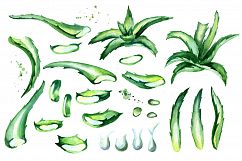 Aloe Vera Product Image 2