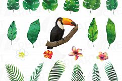 Tropical Paradise watercolor clip art pack, watercolor tropical leafs and flowers. Watercolor Toucan, PNG, jpg, svg, vector files included Product Image 13