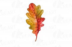 Autumn leafs watercolor clip art pack, watercolor fall frame Product Image 6