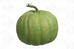 Watercolor pumpkin clip art pack, Pumpkin plant and flowers Product Image 14