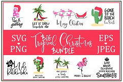 Big Tropical Cristmas Bundle SVG Product Image 1