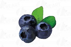 Watercolor blueberry, branch and leaves vector clip art pack Product Image 7