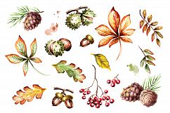 Colors of autumn Product Image 2