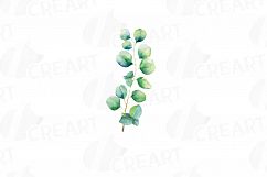 Eucalyptus leaves and branches watercolor clip art pack, Eucalyptus design elements. PNG, jpg, svg, vector illustrator &amp; corel files included Product Image 12