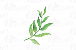 Wild leaves and flowers watercolor clip art pack Product Image 13