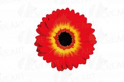 Watercolor Gerbera Daisy clip art pack, colorful gerberas 2 Product Image 3