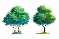 Watercolor Trees Product Image 5