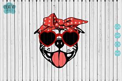 Bulldog With Bandana Product Image 1