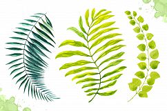 Watercolor tropical leaves set#2 Product Image 7