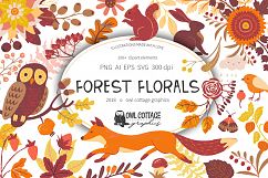Forest Clipart Set- Vector and Raster Versions Product Image 1