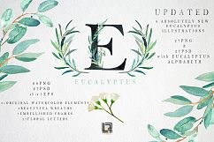 Eucalyptus. Watercolour clipart. Product Image 1