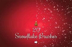 Snowflake Brushes Product Image 1