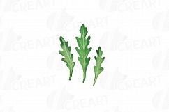 Herbs and Spices clip art pack, Watercolor herbs and spices chart, kitchen herbs, food print. PNG, jpg, svg, vector illustrator &amp;corel files Product Image 21