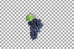 Grapes clip art watercolor wine grape, branch, flowers, leaf Product Image 15